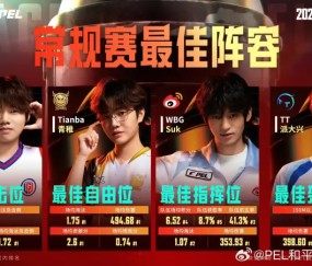 开云体育app下载-2025PEL夏季赛常规赛最佳阵容：天/青稚/Suk/派大兴
